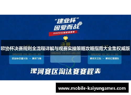 欧协杯决赛规则全流程详解与观赛实操策略攻略指南大全集权威版