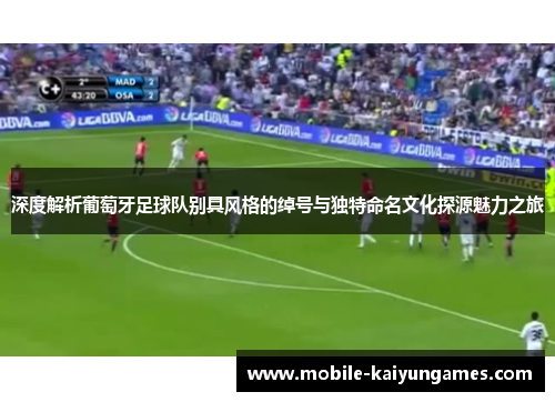 深度解析葡萄牙足球队别具风格的绰号与独特命名文化探源魅力之旅