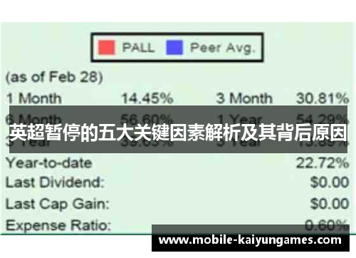 英超暂停的五大关键因素解析及其背后原因
